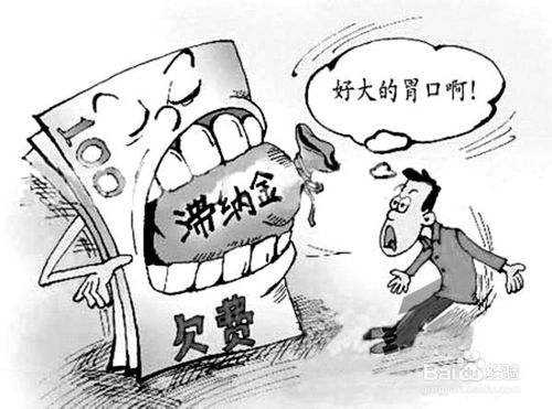 社保滯納金怎么計(jì)算？ 第1張