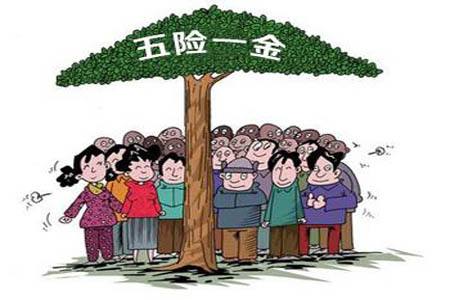 五險(xiǎn)最低標(biāo)準(zhǔn)交多少錢 第1張 五險(xiǎn)最低標(biāo)準(zhǔn)交多少錢 第1張