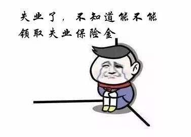 失業(yè)保險(xiǎn)中斷就清零嗎？ 第1張