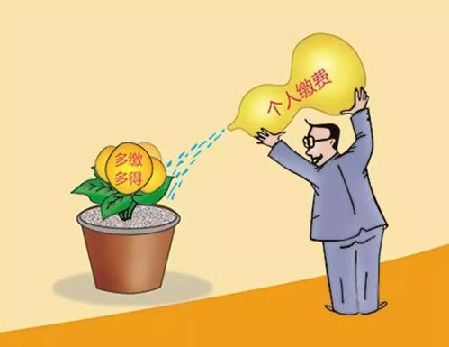 社保是不是一定要所有險(xiǎn)種一起繳？ 第1張